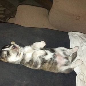 Meet your Posher, Janice